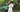 Robe blanche bohème chic pour femme, en pleine nature avec voiture vintage
