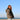 Manteau, Blouson, Trench, Doudoune